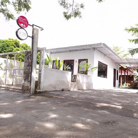 Mayeka Transit Hostel Bandara Internasional Lombok Praya Exteriör bild